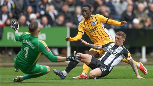 Newcastle United vs Brighton