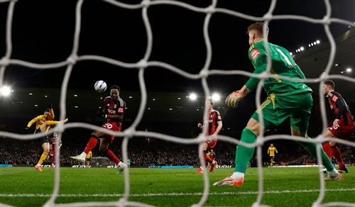 Wolves vs Fulham