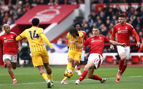 Nottingham Forest vs Brighton