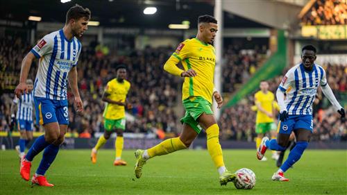 Norwich City vs Brighton