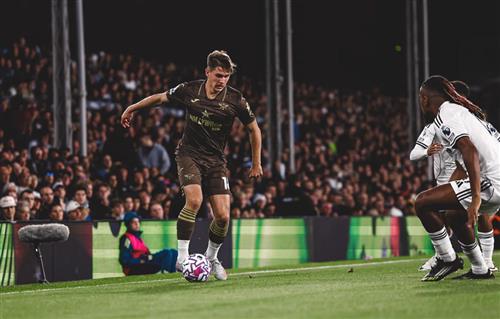 Fulham vs Brentford