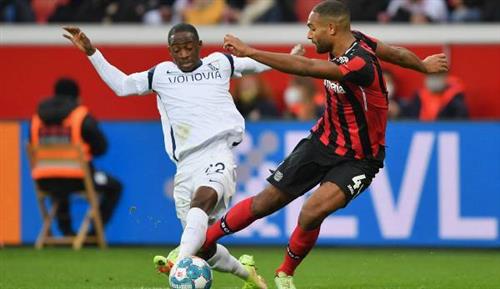Leverkusen vs Bochum historical results