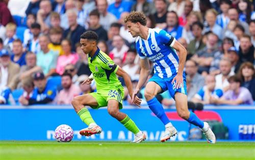 Brighton vs Fulham