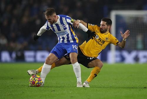 Brighton vs Wolves