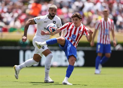 Atletico Madrid vs RJ Botafogo