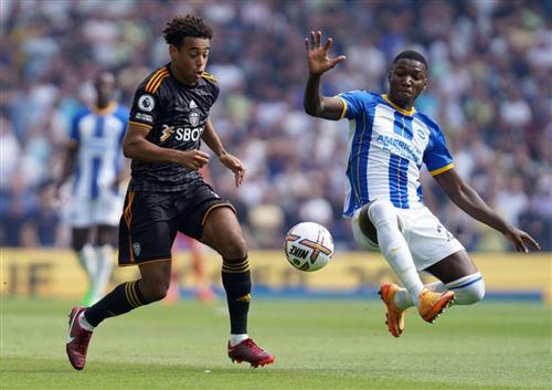 Leeds United vs Brighton